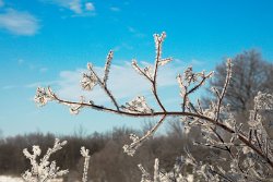 08 10-Feb-13 09-18-25 D300 042